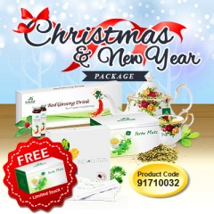 Christmas & New Year Package VII